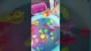 Mainan pancingan ikan#shortvideo
