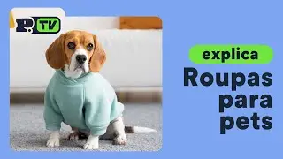Como escolher roupas para pet?