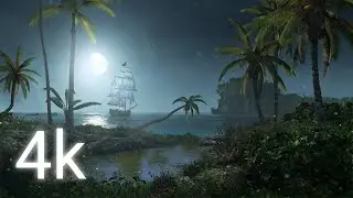 [4k] Nature Live Wallpaper Video (No Watermark, No Copyright)
