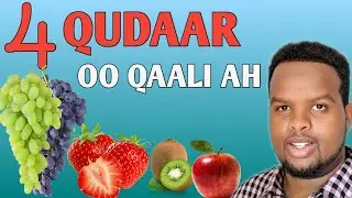 QUDAAR QAALI OO GANACSI KA SAMAYN KARTID IYO QIIMAHA MARAYAAN