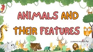 Animals and Their Features | Animal names for Kids | Animals Features
