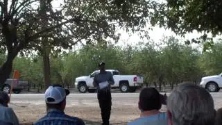 Seasonal considerations for insect pest monitoring and management in almonds
