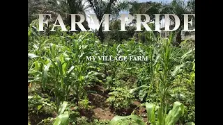 FARM PRIDE