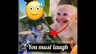 Try Not To Laugh Challenge 🤣 🤣 LEVEL 7 | Instant Regret Fails Compilation 2025