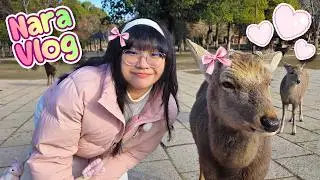 Feeding Deer in Nara! +more | Japan Nara Vlog ⋆˚𝜗𝜚˚⋆
