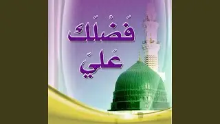 Rohi