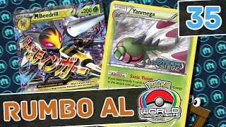 Deck de Mega Beedrill EX con Yanmega BREAK! #035 [Pokemon TCG Online]