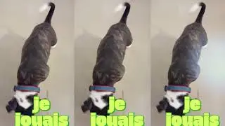 je joue , je joue encore , je jouais  (Uki)