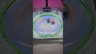 Beyblade X Hells Scythe Corocoro vs Leon Claw 3-80HN [Give Away⬇️ In Channel Description]