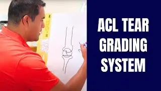 ACL Tear Grading System Explained To Better Understand Your MRI