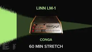 Linn LM-1 Conga (1 HOUR)