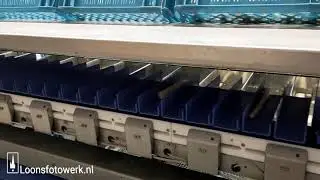 20210408 Sorteren asperges van Iersel