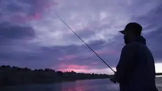 Temple Fork Outfitters - Professional Walleye Series