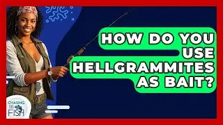 How Do You Use Hellgrammites As Bait? - Chasing Big Fish