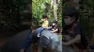 @Rainforest  Kottayam