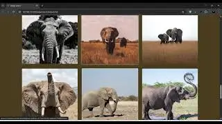 Image Search Engine (API)