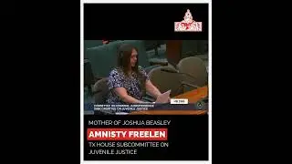 89th TX Lege HB 3360: Amnisty Freelen Testimony