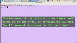Interacting with containerised OS from the terminal of host OS