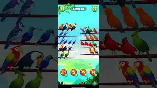 Color Bird Sort Puzzle Game Level 14 #shorts