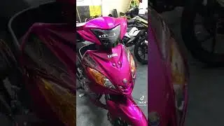Cọp 5p71 Exciter 2010 Hồng C&aacute;nh Sen.