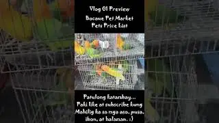 BOCAUE PET MARKET PRICE LIST VLOG PREVIEW #Shorts
