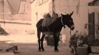 Tarantella dei Briganti Pugliesi - Puglia Folk