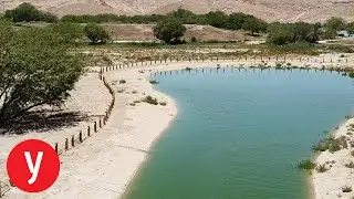 פארק אגם ירוחם שעתיד להפוך לצימרים וקמפינג