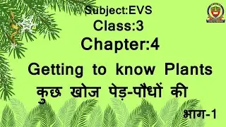 EVS Class 3 Lesson 4: Getting to know plants- Part 1