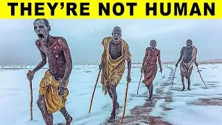 This Tribe In The Arctic Has SHOCKED Researchers