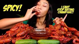 Mukbang | SPICY LOUISIANA CRAWFISH BOIL 🦀🦀 | How To Eat Crawfish