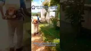 Best Termite Control Services | PCS Pest Control |Madurai, Tirunelveli & Nagercoil #PCS_PestControl