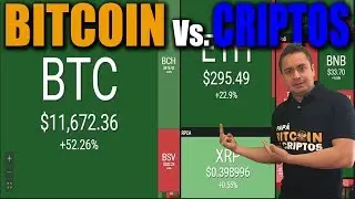 BITCOIN vs CRIPTOMONEDAS 2019 / Por qu&eacute; un PORTAFOLIO?