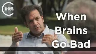 Rudolph Tanzi - When Brains Go Bad