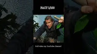 Bear Grylls fact 1 #facts #viral #newfacts #trendingshorts #telugufacts #trvtalks #stories #news