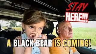 ANIMAL ENCOUNTERS UP CLOSE 🐻  BEAR COUNTRY WOW!🐻✨