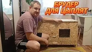 БРУДЕР ДЛЯ ЦЫПЛЯТ💥🍒