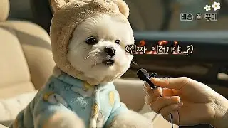 강아지가 말을 하면 생기는 일들 (인터뷰 모음 1탄)