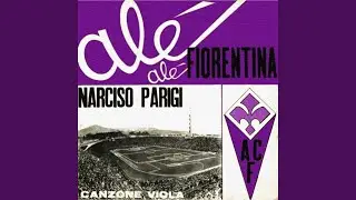 Canzone Viola