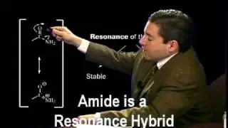 Organic Chemistry - The Amide Bond