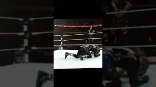 stardust and goldust #edit #wwe 🔥💨🔥💯