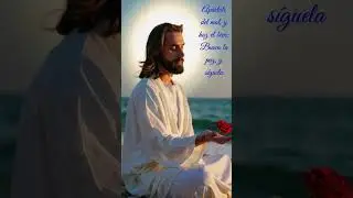 Busca la paz y s&iacute;guela #family #home #god #amor #jesus #jesuschrist #heart #love #shorts #allah #fe