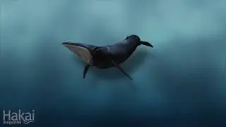 Whale Flukeprints
