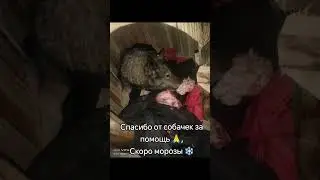 Огромное спасибо за вашу доброту! ❤️​Благодаря вам мы собрали 9 000 тг и уже закупили мясо ⤵️