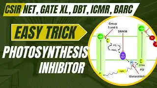 Photosystem I & II Inhibitors | Easy Trick to Remember | CSIR NET, GATE XL, DBT, ICMR, BARC #jrf