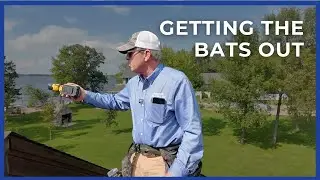 Bat Removal Before We Shingle The House