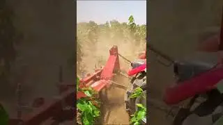 Massey 6028 Maxpro | Rotavator