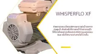 PENTAIR WHISPERFLO XF PUMP