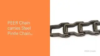 PEER Chain - Steel Pintle - Chain of the Month