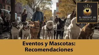 Eventos y Mascotas: recomendaciones.