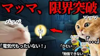 父親が節約しすぎて、母親にブチギレられました #猫ミーム #猫マニ #あるある